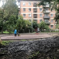 дождливая осень - самое подходящее время для благоустройства... :: zavitok *