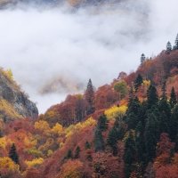 Осень в Домбае. :: Михаил Свиденцов Осень в Домбае. :: Михаил Свиденцов