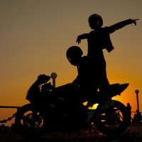 Как птица. :: Balanovskiy D.V. 