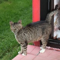 Ну где этот рыбак? Сколько можно ждать?
