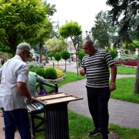 Пятигорск. Игроки в нарды