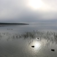 Осеннее озеро :: Ольга Sh Осеннее озеро :: Ольга Sh