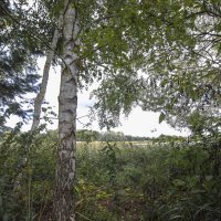 Природа :: Николай Природа :: Николай