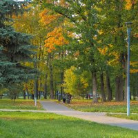 Прогулки в Осеннем Парке