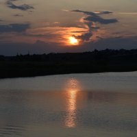 Красота лета