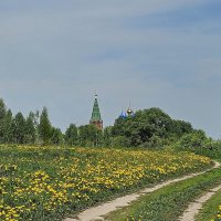 Церковь Рождества Богородицы с. Горицы :: Михаил Свиденцов