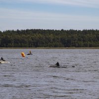 Спорт :: Николай 