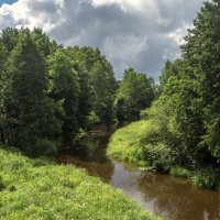 Речка Цна