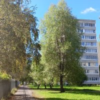 пешеходная дорожка