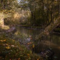Осенняя прогулка