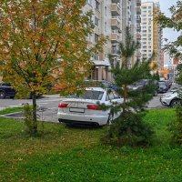 Осень в городе