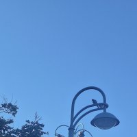 15 ОПЕН (106)