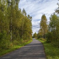 Осенняя дорога