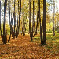 Пейзаж