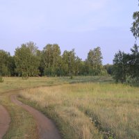 Полевая лорога.