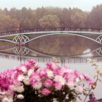 Царицыно 26 сентября