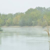 Утренний туман над водой...