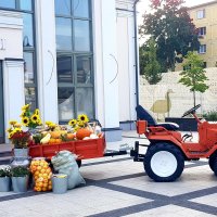 Арт-объект на рязанской ВДНХ
