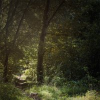 старый охотник. случайные встречи...