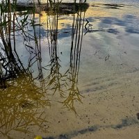 У реки… :: Любовь Броневицкая У реки… :: Любовь Броневицкая