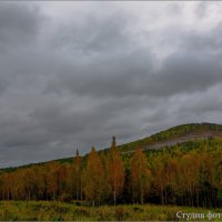 Пасмурное осеннее утро :: Студия фотографии