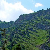 МАЛЕНЬКАЯ ПРОГУЛКА. :: Виктор Осипчук