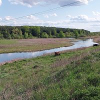 р.Кобылинка :: Tarka