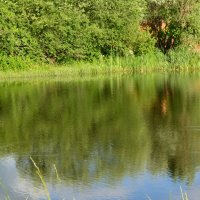 тень на водоеме