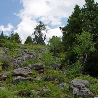 МАЛЕНЬКАЯ ПРОГУЛКА.