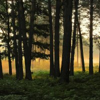 Золотой час