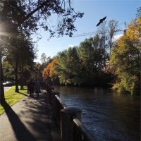 не "обустроенный" берег городской реки