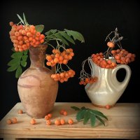 Рябины много не бывает..... :: TAMARA КАДАНОВА