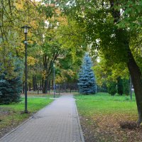 Елово-кленовая аллея