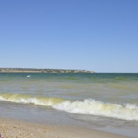 Виды местные.
