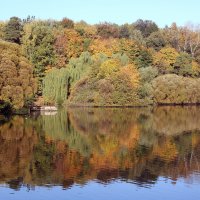 Царицыно 29 сентября