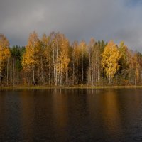 Озеро, Андозеро, осенью.Онежский округ.
