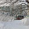 В заснеженном городе :: Ольга 