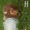 Grass :: Нина Скребцова