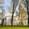 За забором :: Roman Ilnytskyi