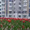 *** :: Валентина Береснева