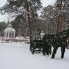 Повозка :: Дмитрий Петров