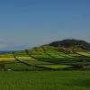 Magic Azores 51 :: Arturs Ancans