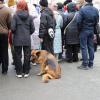 и что им там  так интересно :: Владимир иванов