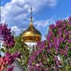 Купола Троицкого храма утопающие в сирени :: Сергей 