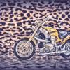 BMW :: Jakob Dick