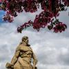 Опять весна на белом свете ... :: Дмитрий Печенкин
