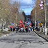 Течёт река бессмертного полка :: Ольга 