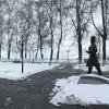Снежный апрель... :: Владимир Шошин