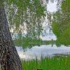 Любуясь природой, хвостатый про рыбу на время забыл.... :: Vladimir Semenchukov
