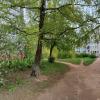 Городские зарисовки :: Денис Бочкарёв